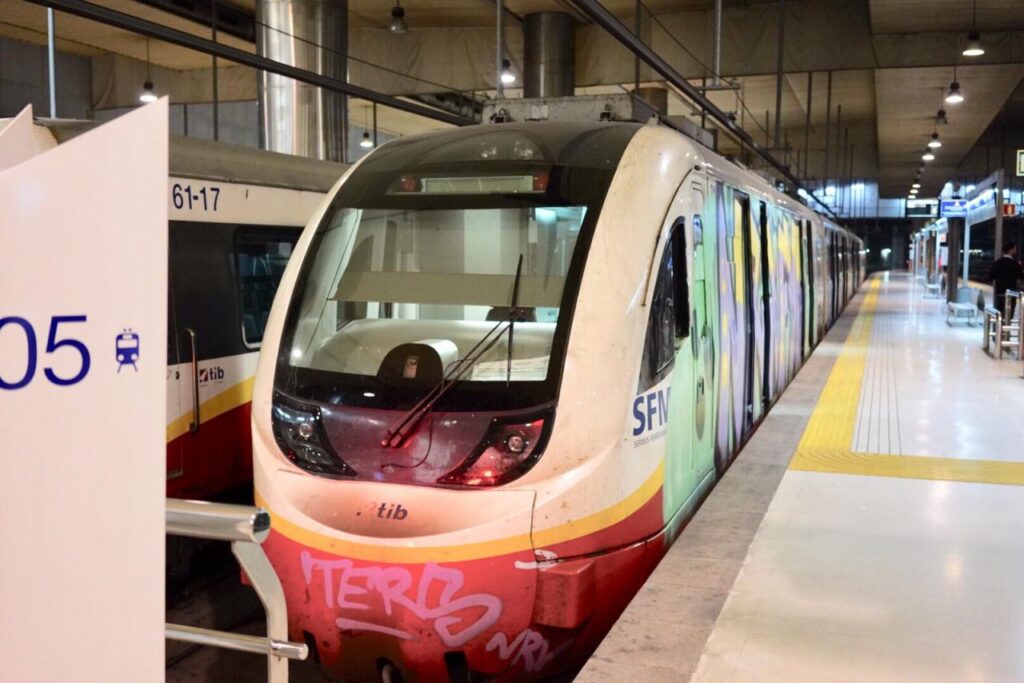 Imagen de galería 447