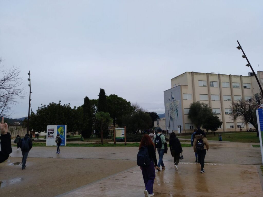 Imagen de galería 806