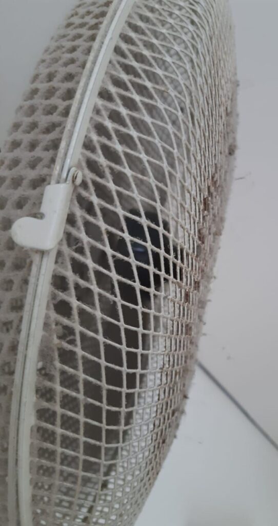 Imagen de galería 776