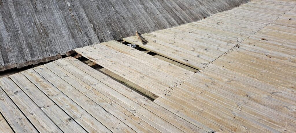 Imagen de galería 1639