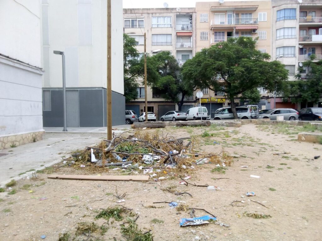 Imagen de galería 263