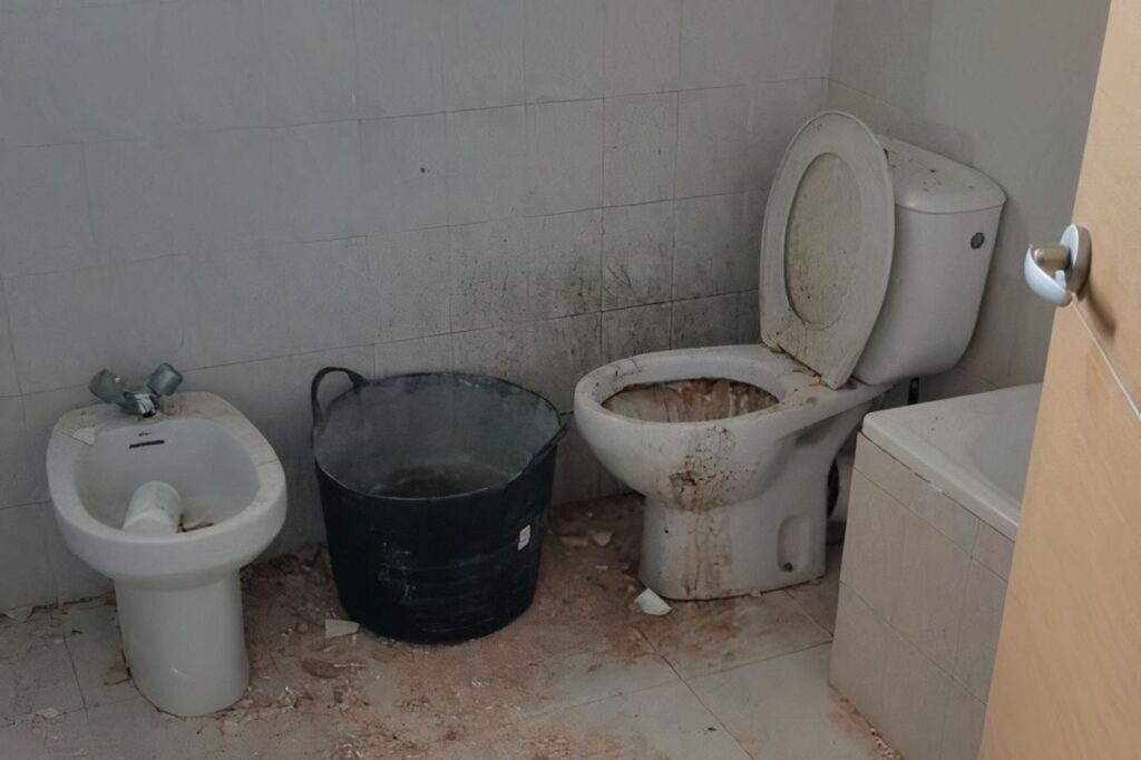 Imagen de galer&iacute;a 1353