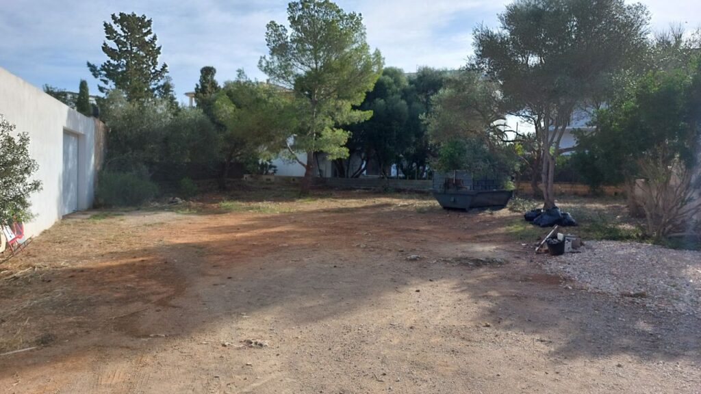 Imagen de galería 1594