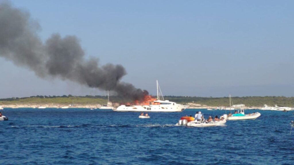 Imagen de galería 595