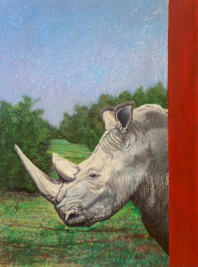 Imagen de galería 1588