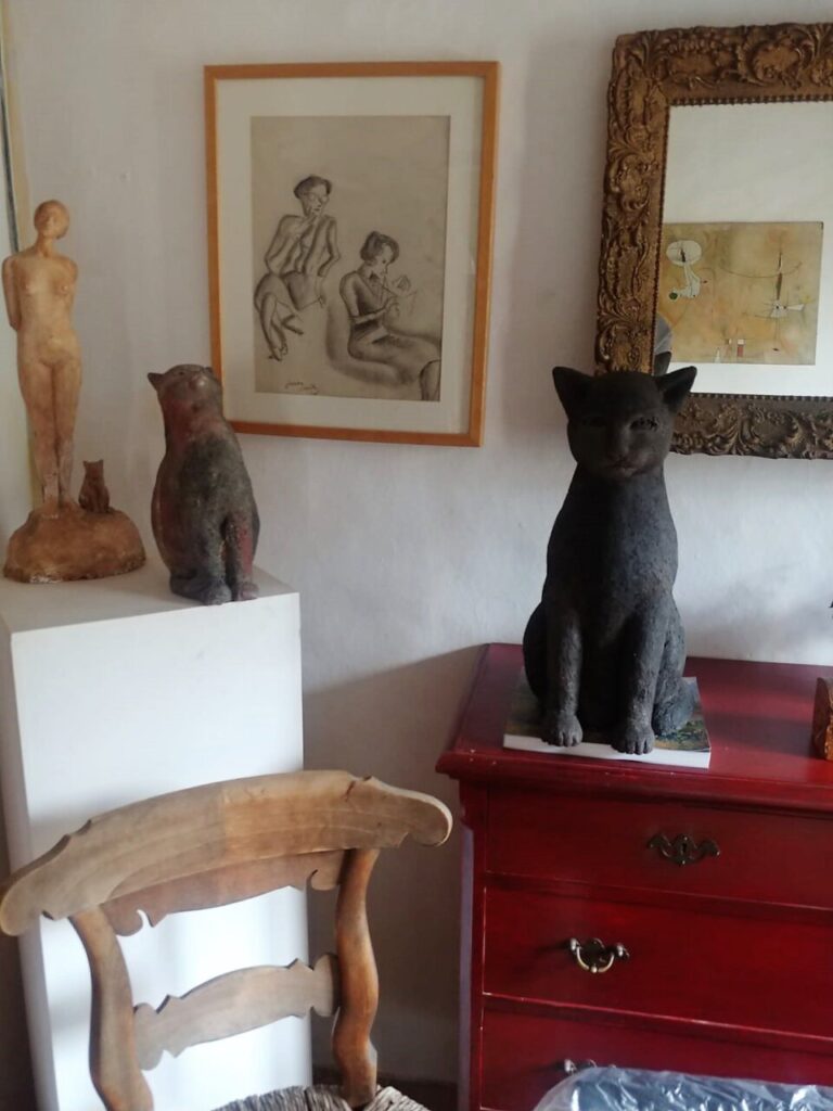 Imagen de galer&iacute;a 1254