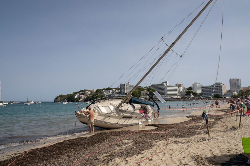 Imagen de galería 1492