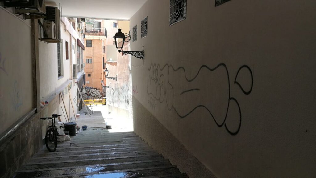 Imagen de galería 575