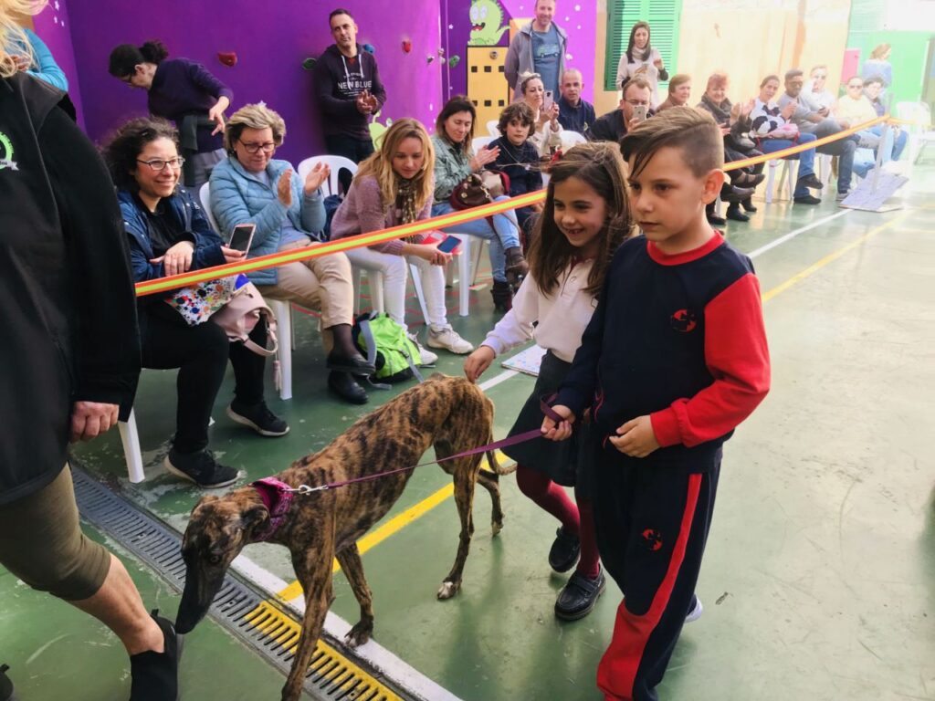 Imagen de galería 501