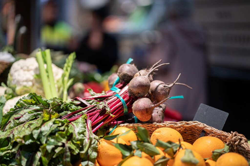 Imagen de galería 1684