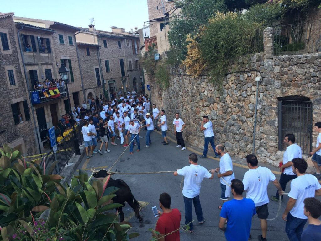 Imagen de galería 69