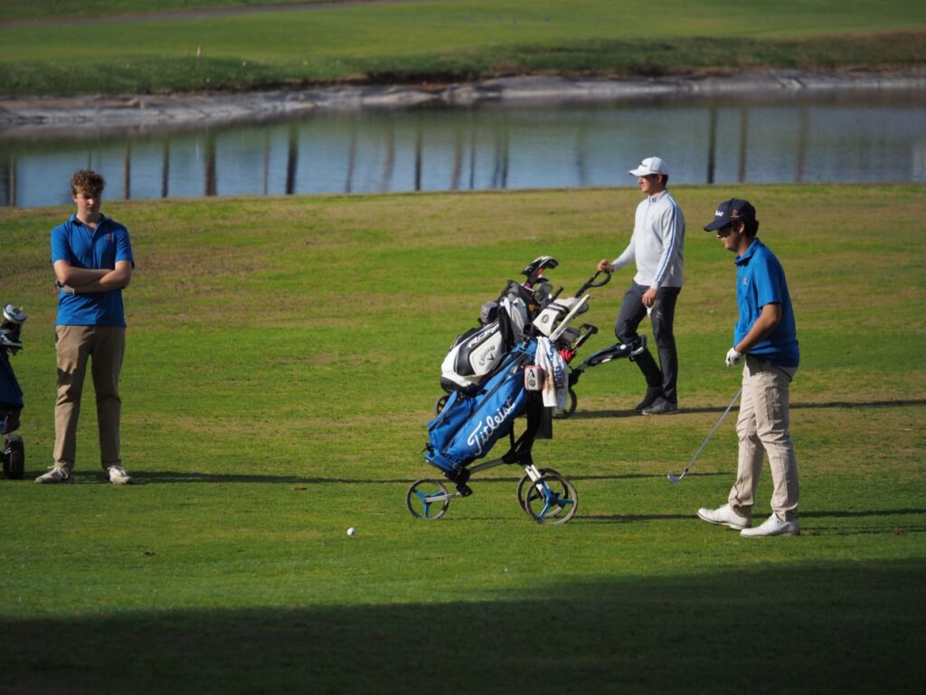 Imagen de galer&iacute;a 1216