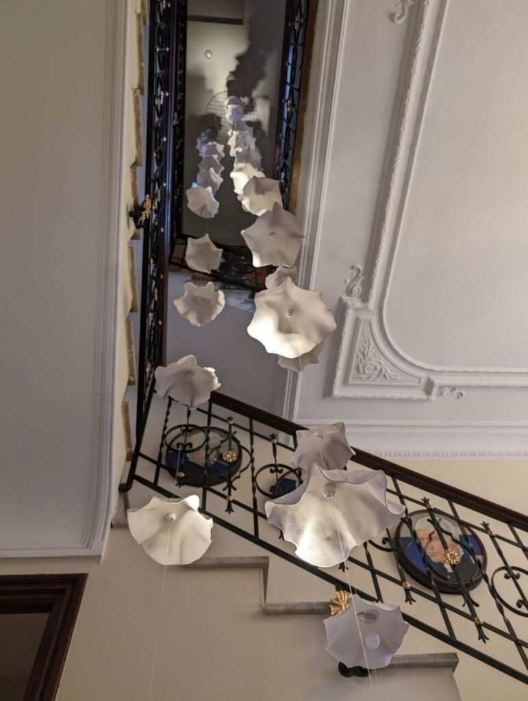 Imagen de galer&iacute;a 1702