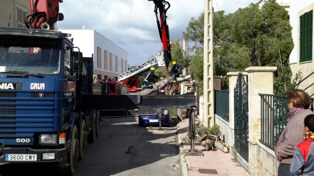 Imagen de galer&iacute;a 111