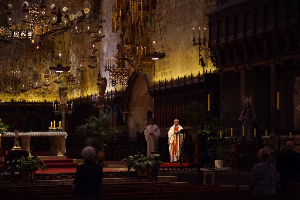 Imagen de galería 715