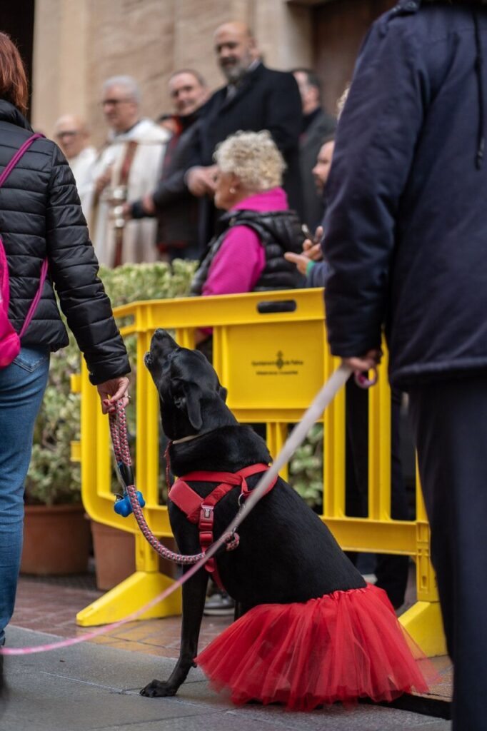 Imagen de galería 1625