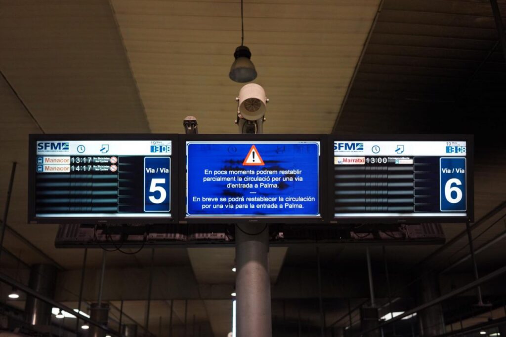 Imagen de galería 447