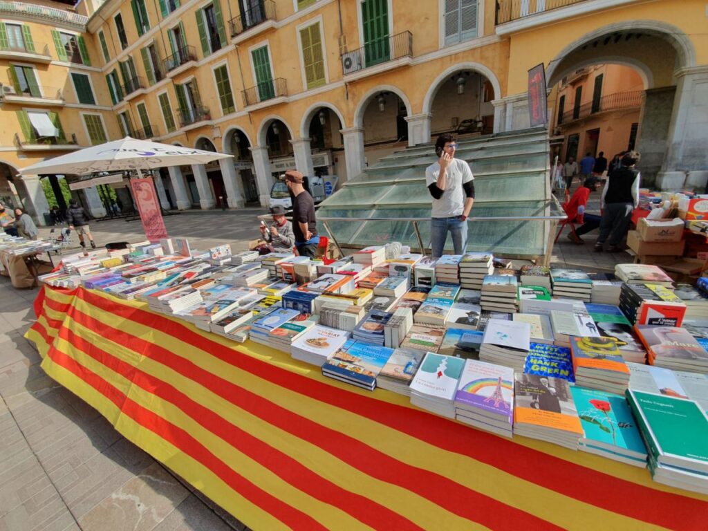 Imagen de galería 510