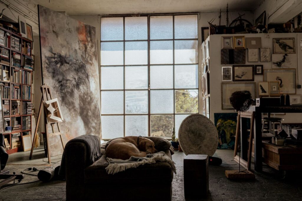 Imagen de galería 1286