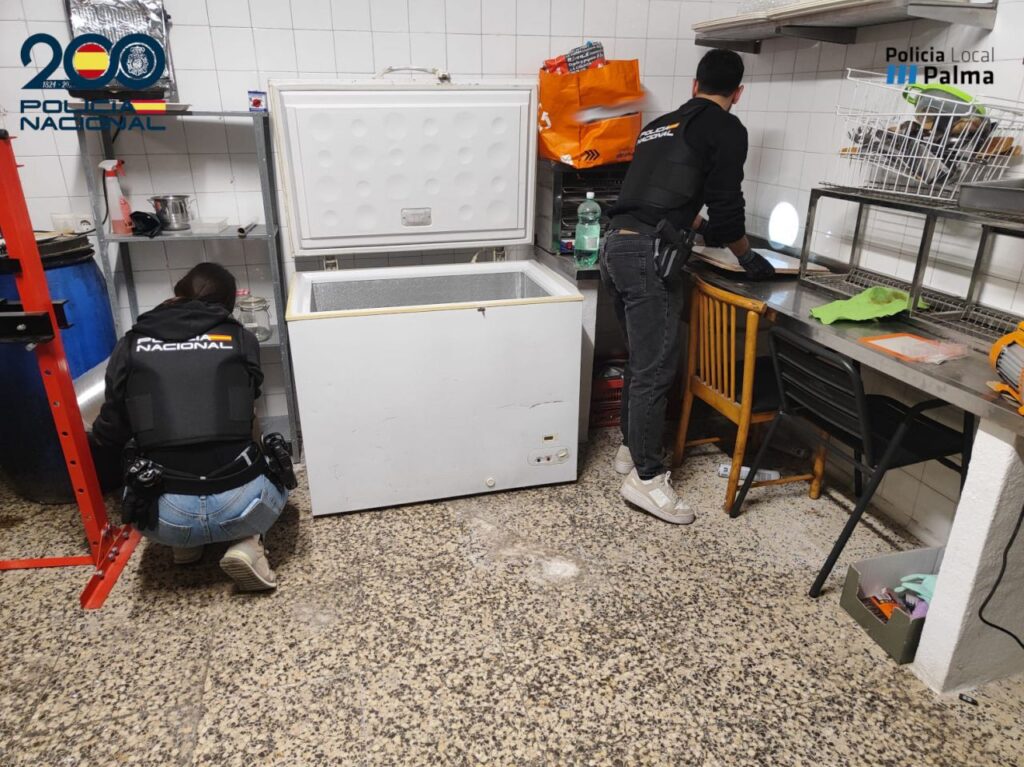 Imagen de galer&iacute;a 1739