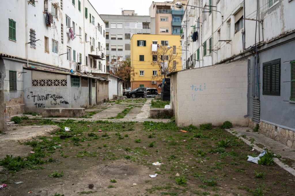 Imagen de galer&iacute;a 983