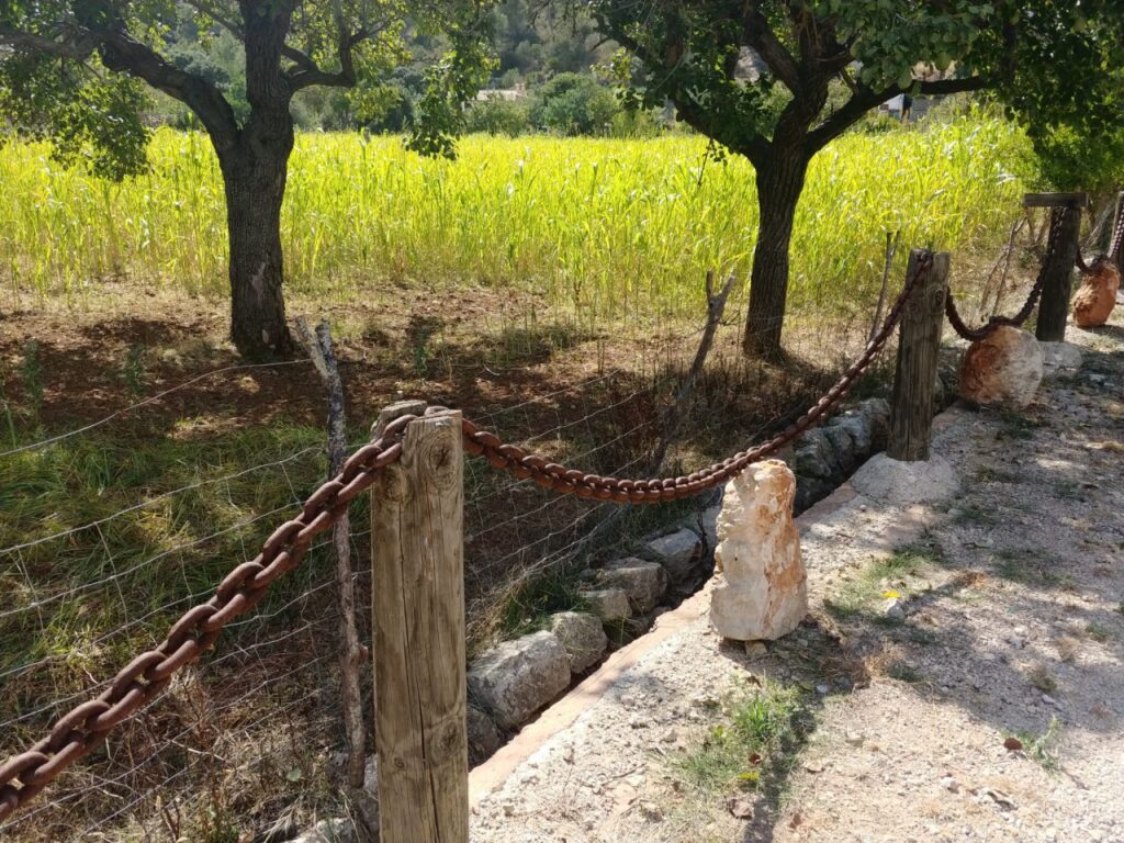 Imagen de galer&iacute;a 890