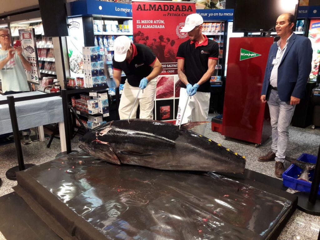 Imagen de galería 556