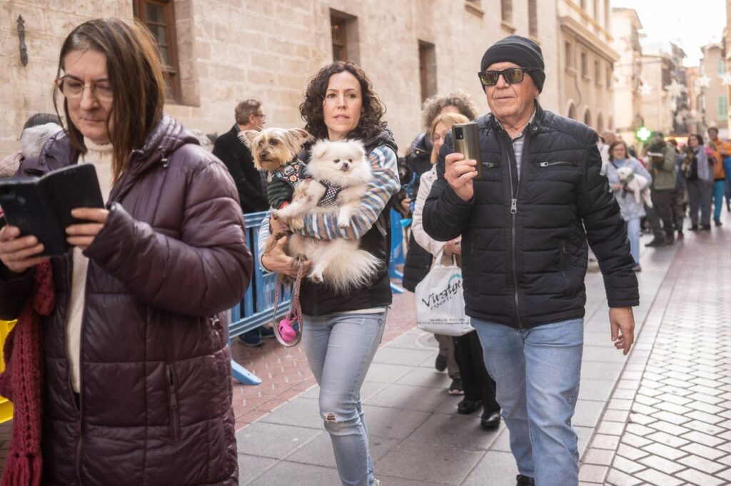 Imagen de galería 1625