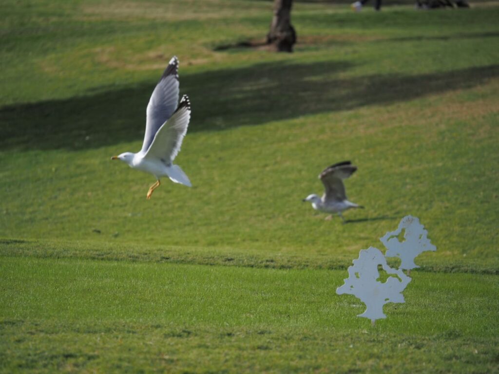 Imagen de galer&iacute;a 1199