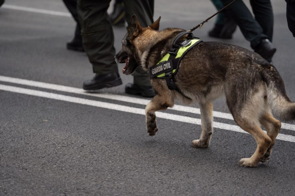 Imagen de galería 1405