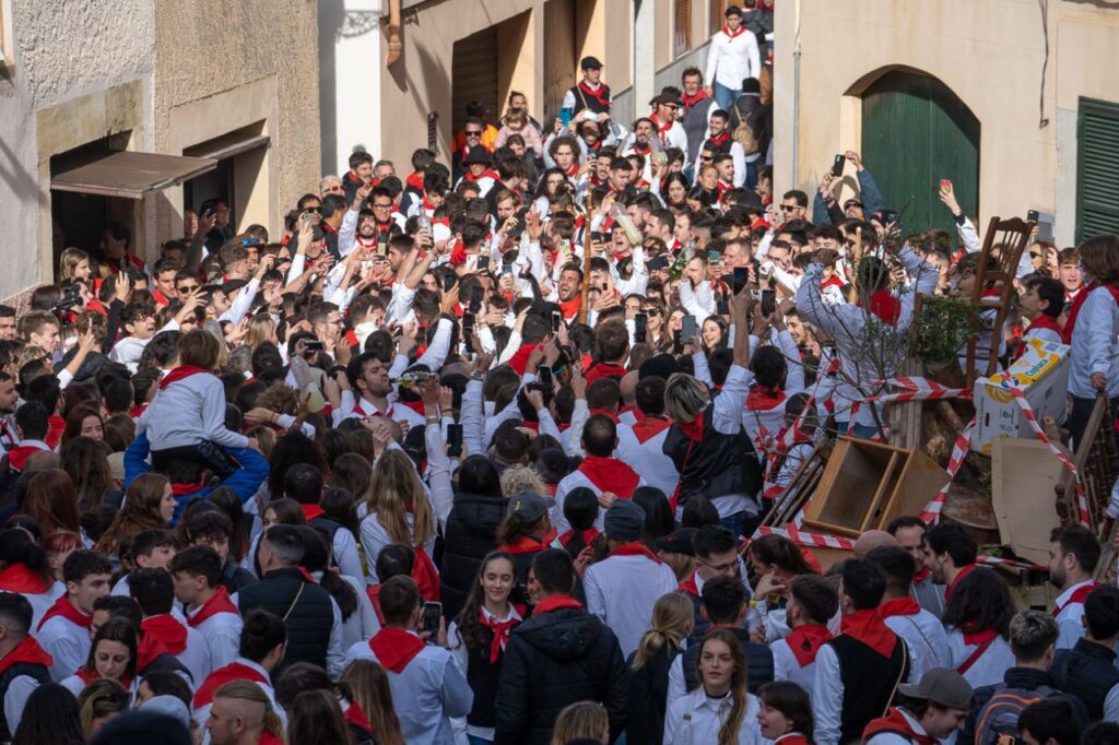 Imagen de galer&iacute;a 1249