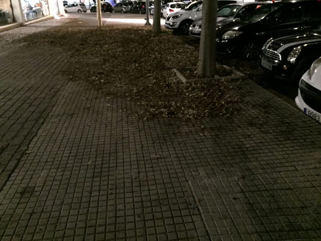 Imagen de galería 98