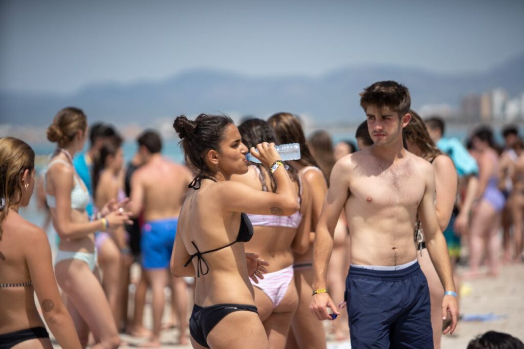 Imagen de galer&iacute;a 1042