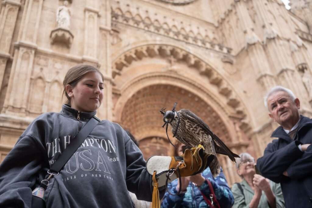 Imagen de galería 1625