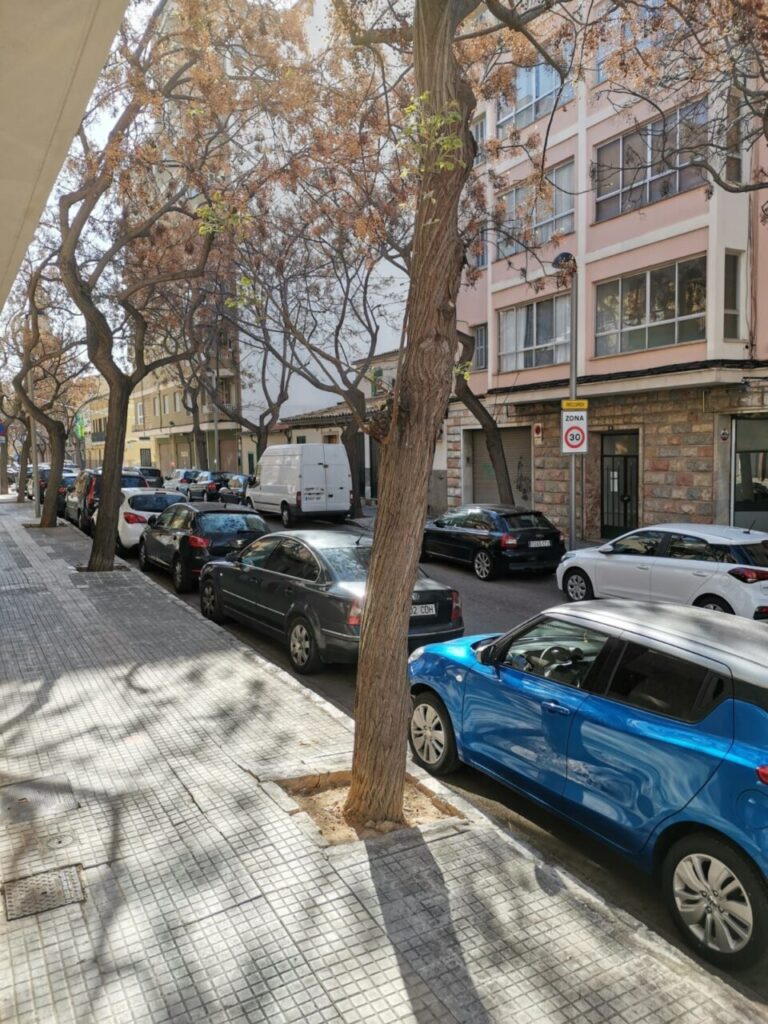 Imagen de galería 702