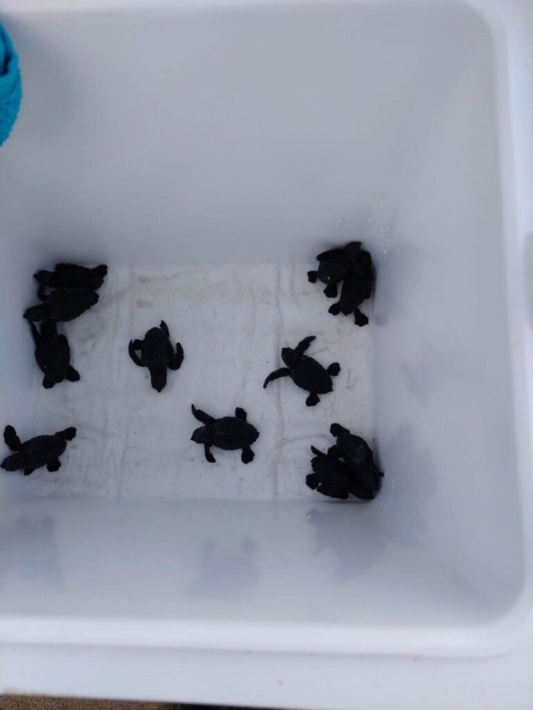 Imagen de galer&iacute;a 1474