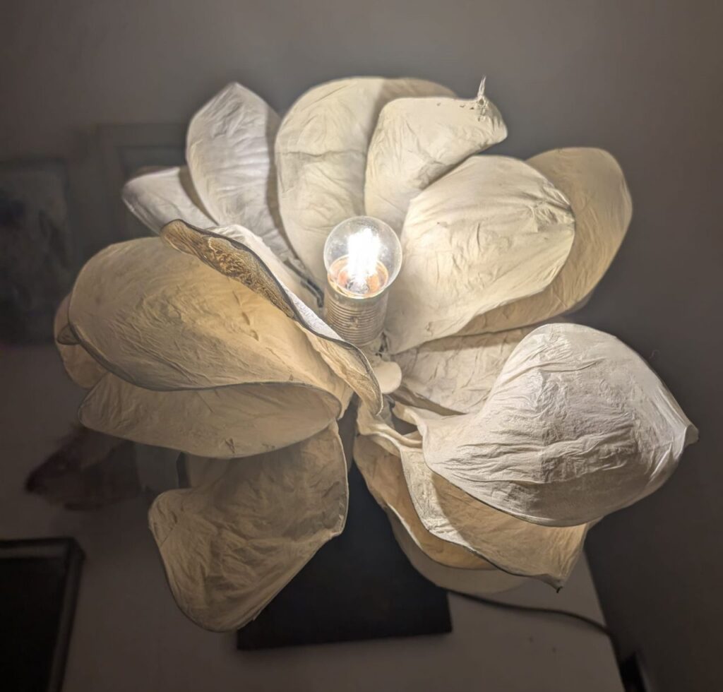 Imagen de galería 1943