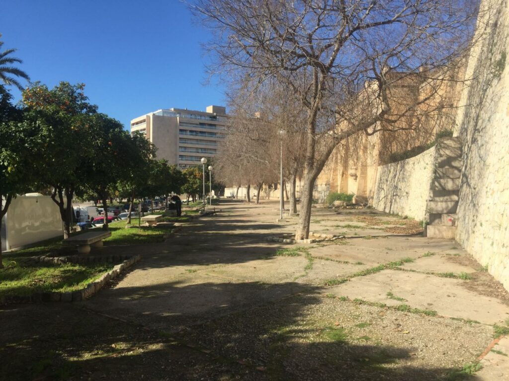 Imagen de galer&iacute;a 688