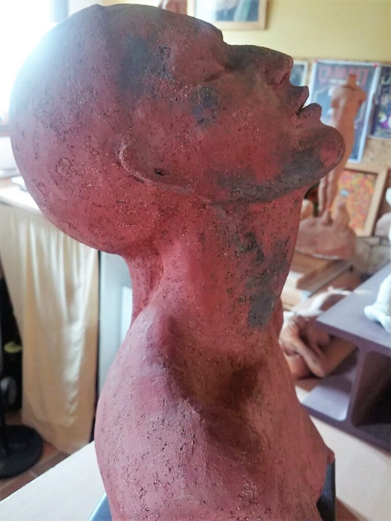 Imagen de galer&iacute;a 1254