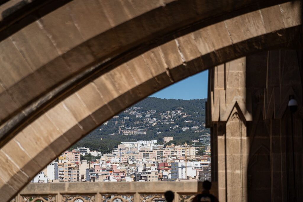 Imagen de galer&iacute;a 1766