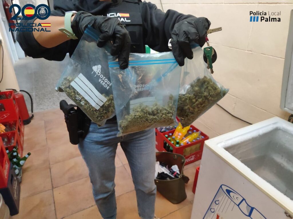 Imagen de galer&iacute;a 1739