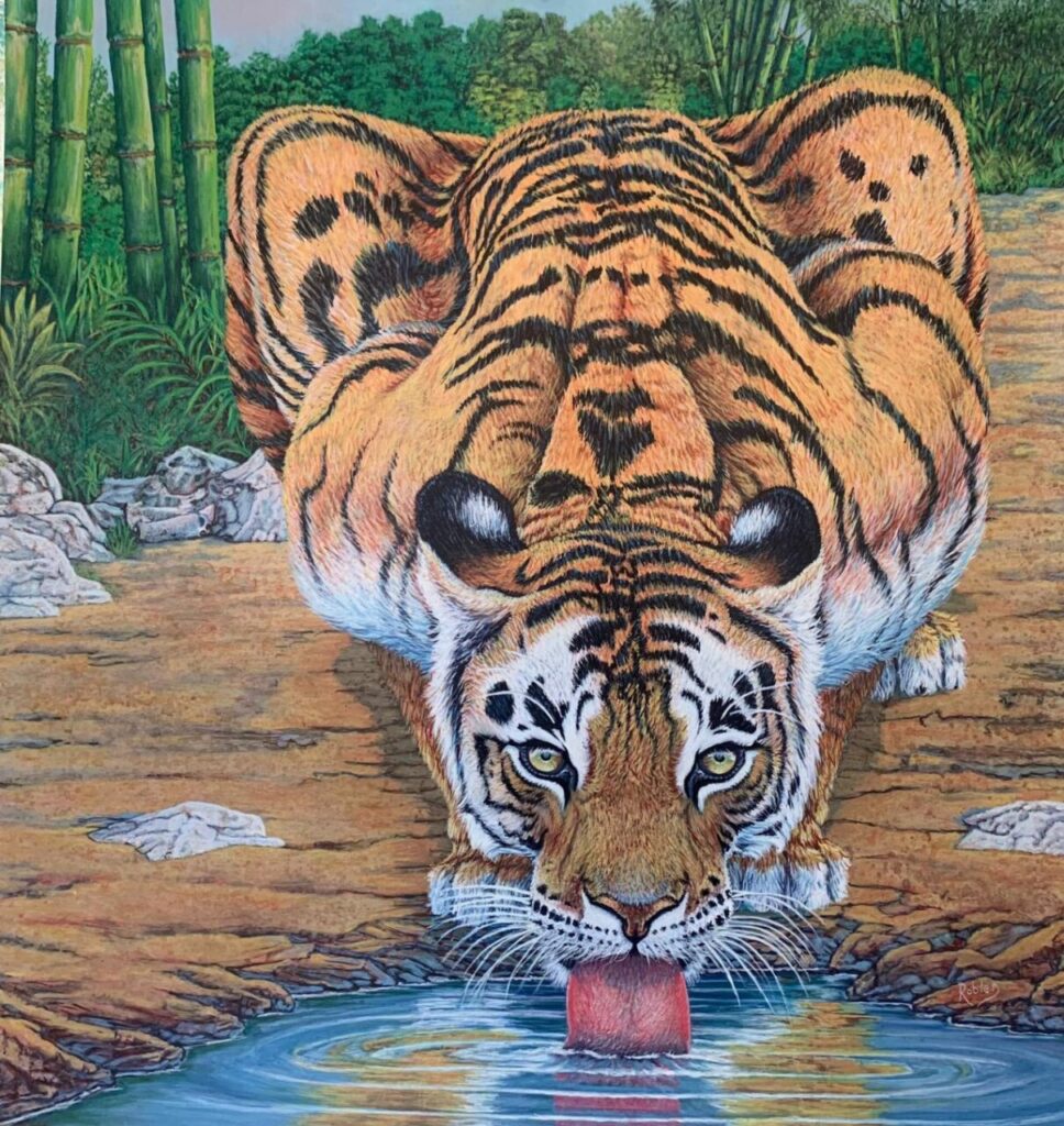 Imagen de galería 1588