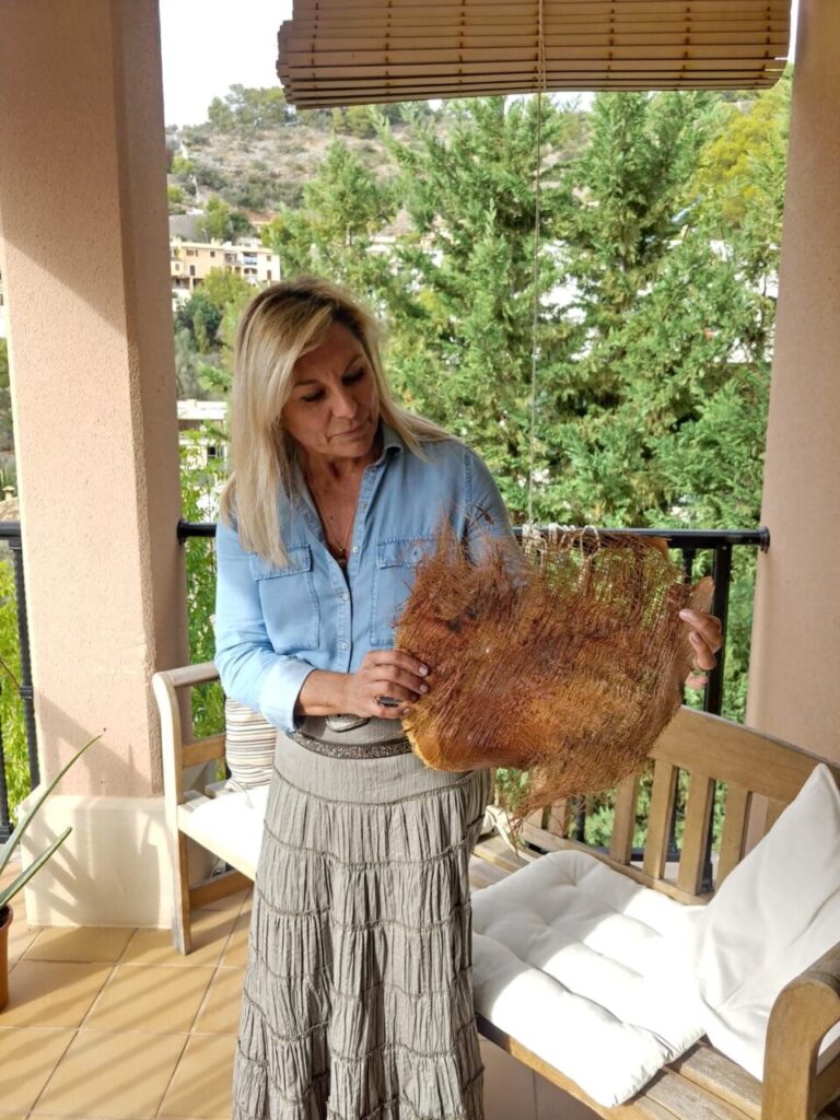 Imagen de galería 1200