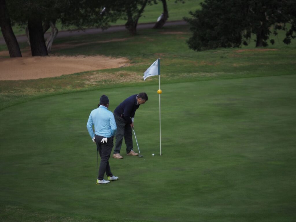 Imagen de galería 1265