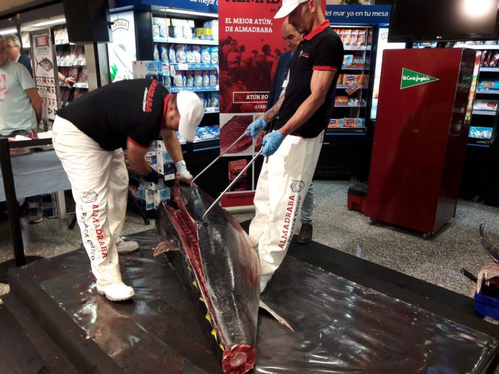 Imagen de galería 556