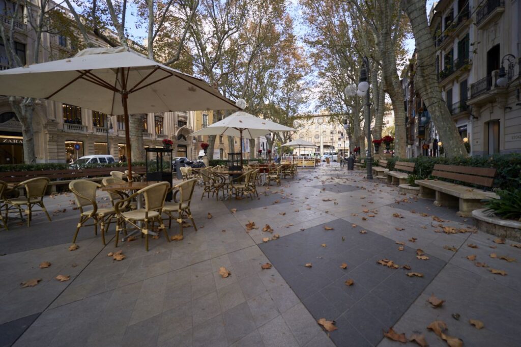 Imagen de galer&iacute;a 792