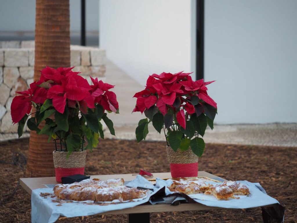 Imagen de galer&iacute;a 1216