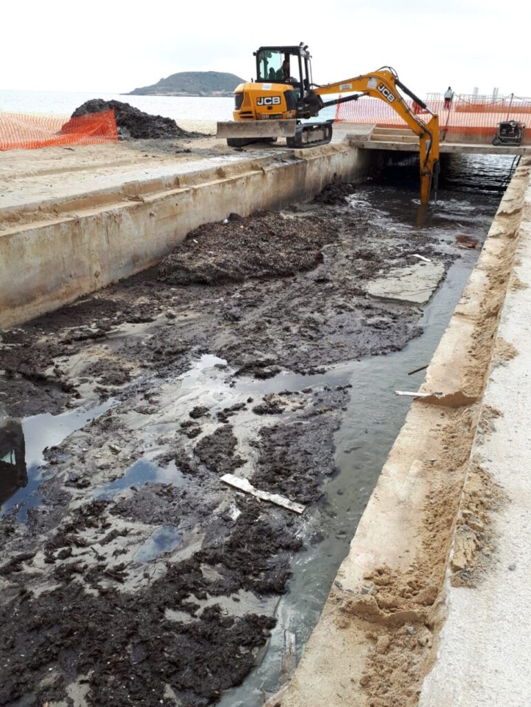 Imagen de galería 480