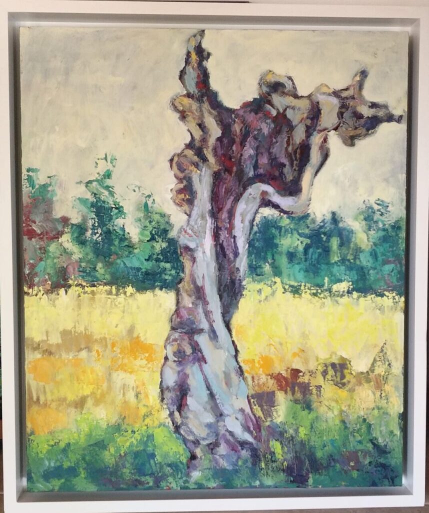 Imagen de galería 843