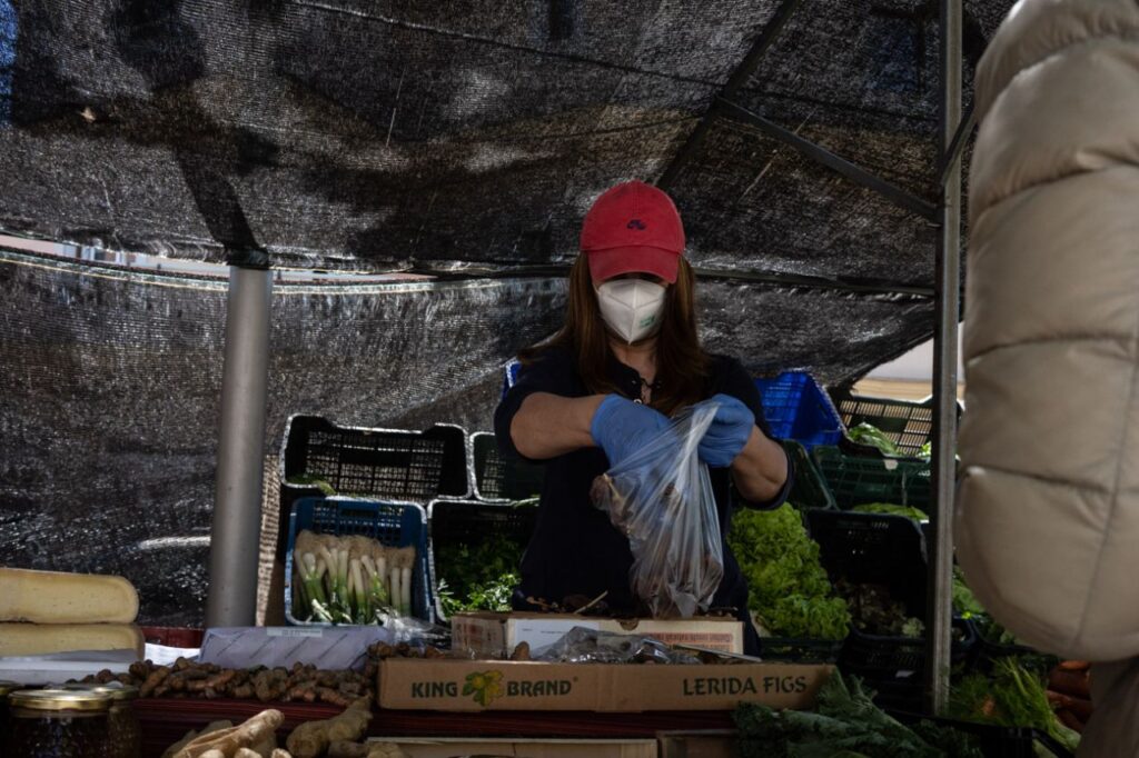 Imagen de galería 791